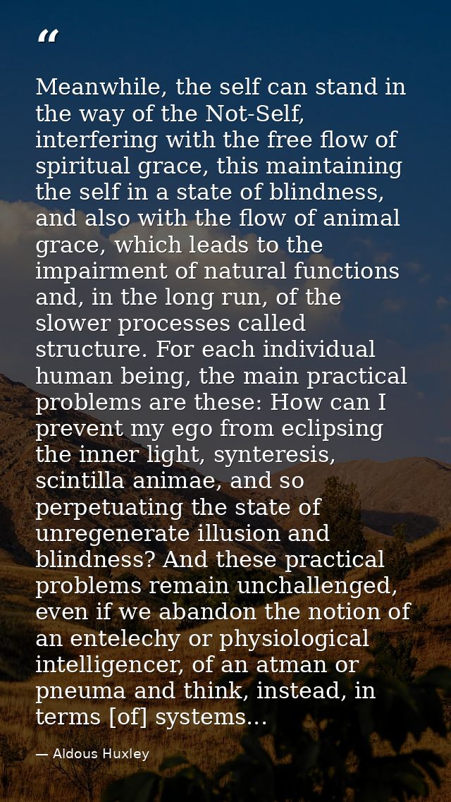 Meanwhile, the self can stand in the way of the Not-Self, interfering with the free flow of spiritual grace, this mainta — Aldous Huxley