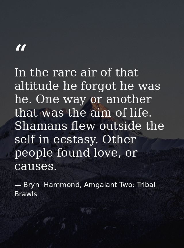 In the rare air of that altitude he forgot he was he. One way or another that was the aim of life. Shamans flew outside  — Bryn  Hammond, Amgalant Two: Tribal Brawls