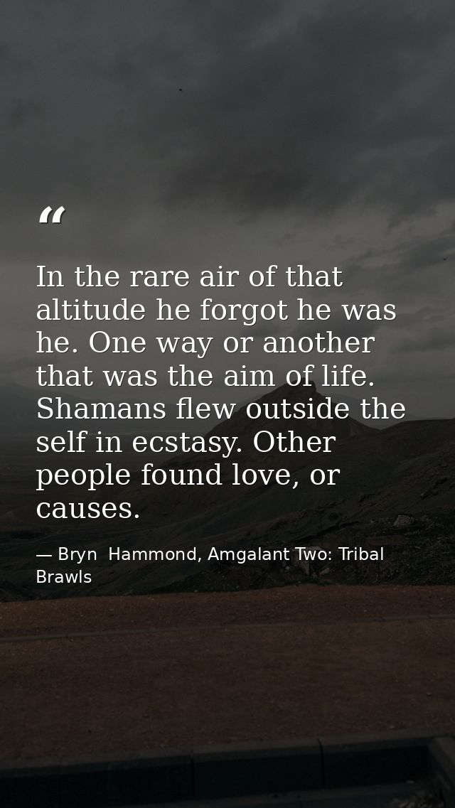 In the rare air of that altitude he forgot he was he. One way or another that was the aim of life. Shamans flew outside  — Bryn  Hammond, Amgalant Two: Tribal Brawls