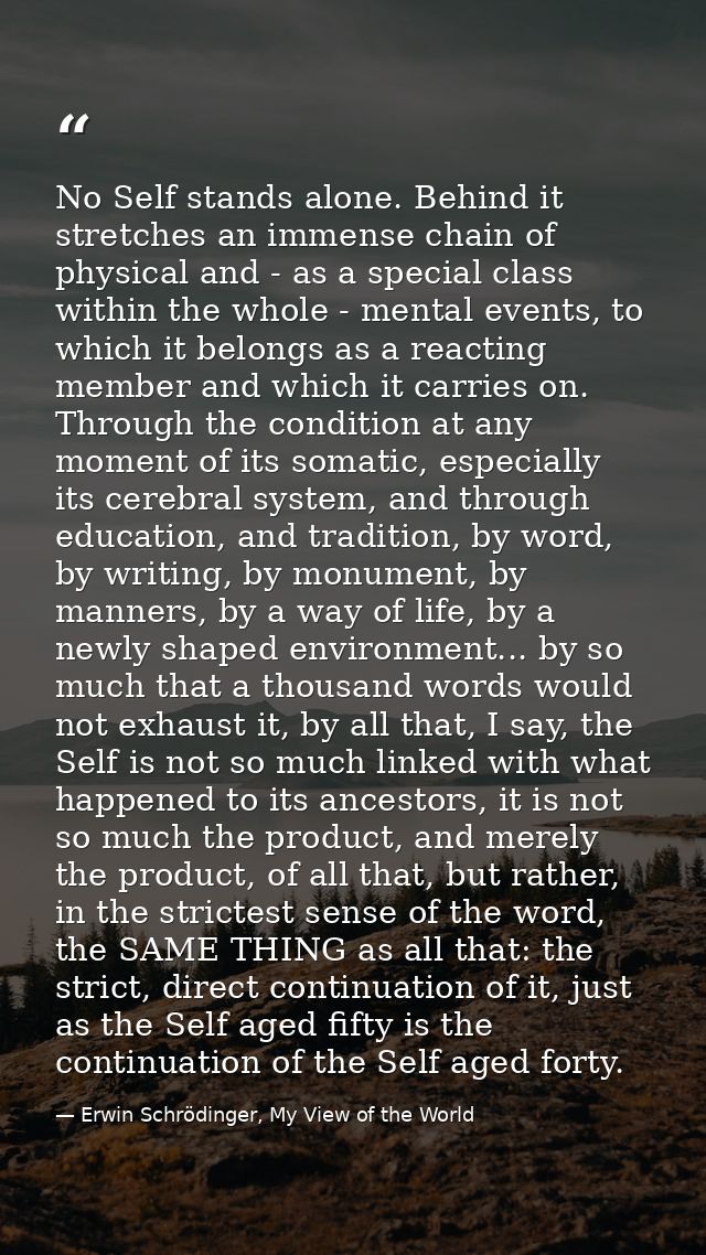 No Self stands alone. Behind it stretches an immense chain of physical and - as a special class within the whole - menta — Erwin Schrödinger, My View of the World