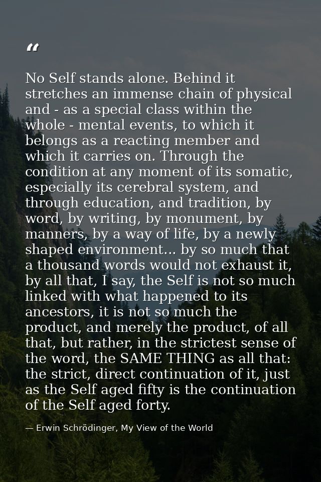 No Self stands alone. Behind it stretches an immense chain of physical and - as a special class within the whole - menta — Erwin Schrödinger, My View of the World