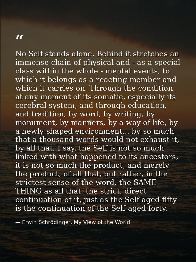 No Self stands alone. Behind it stretches an immense chain of physical and - as a special class within the whole - menta — Erwin Schrödinger, My View of the World