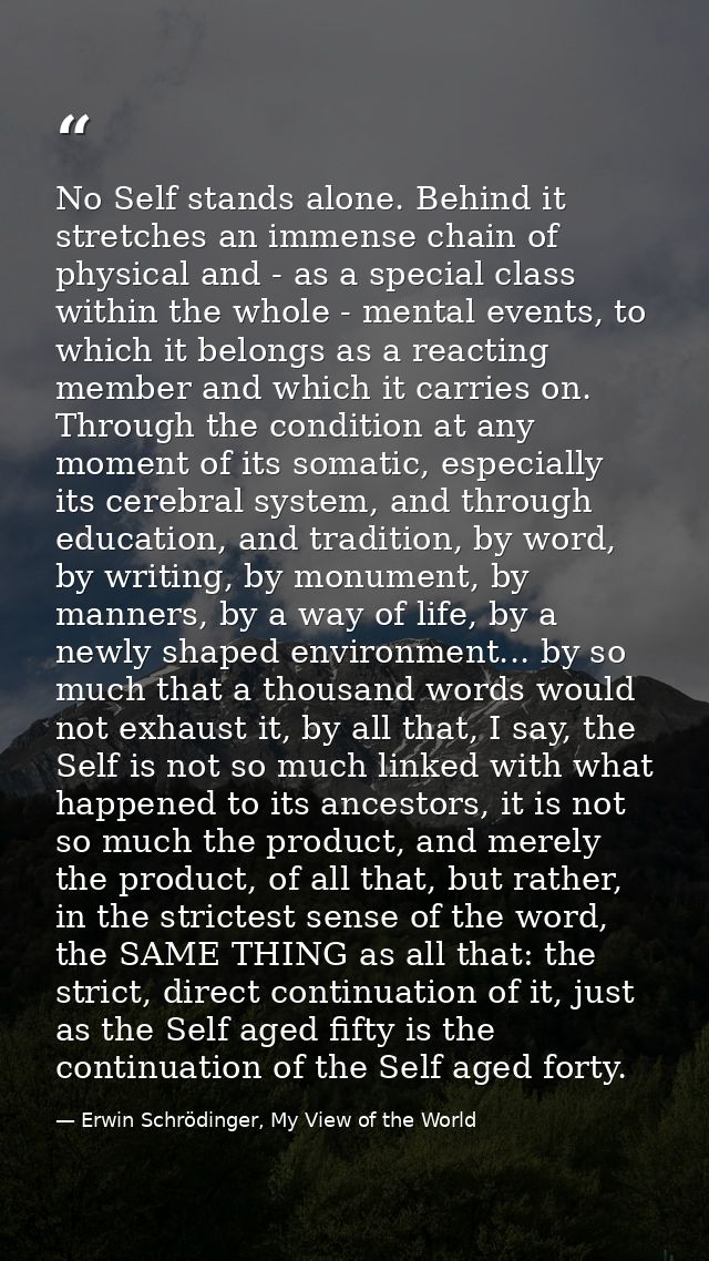 No Self stands alone. Behind it stretches an immense chain of physical and - as a special class within the whole - menta — Erwin Schrödinger, My View of the World