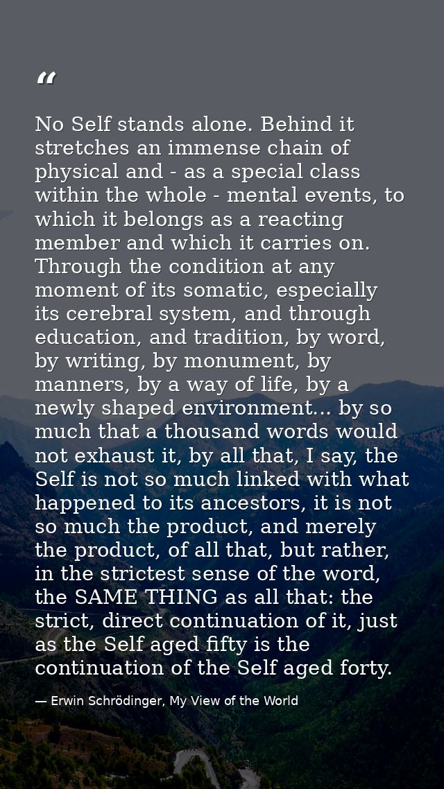 No Self stands alone. Behind it stretches an immense chain of physical and - as a special class within the whole - menta — Erwin Schrödinger, My View of the World
