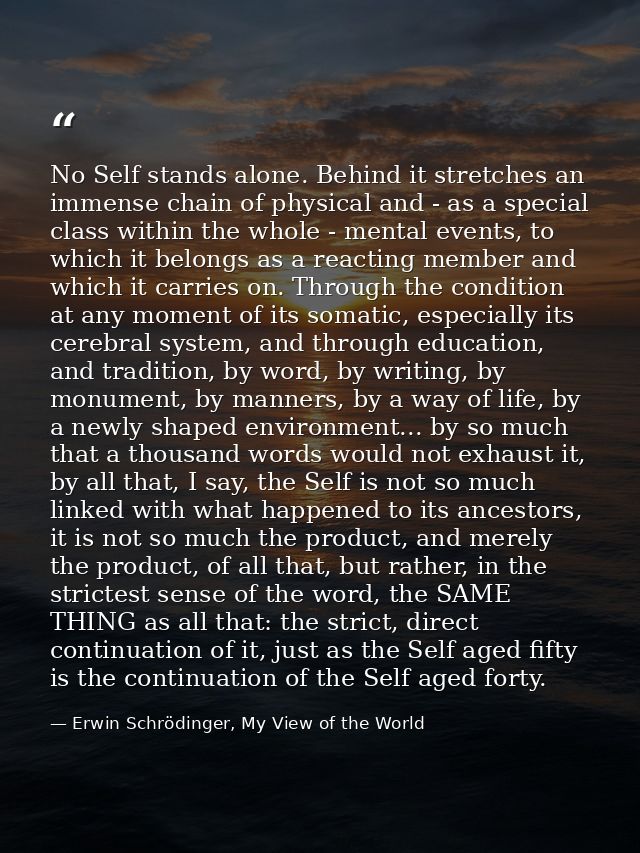 No Self stands alone. Behind it stretches an immense chain of physical and - as a special class within the whole - menta — Erwin Schrödinger, My View of the World