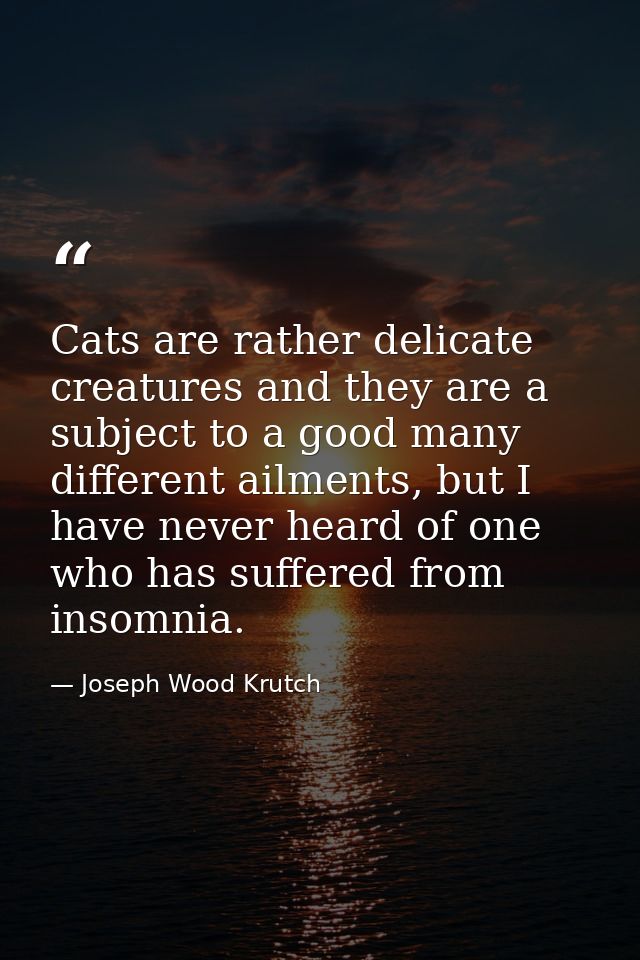 Cats are rather delicate creatures and they are a subject to a good many different ailments, but I have never heard of o — Joseph Wood Krutch
