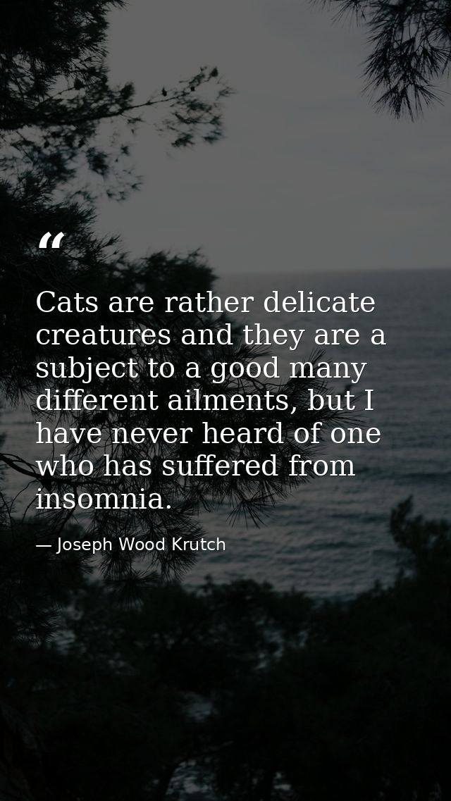 Cats are rather delicate creatures and they are a subject to a good many different ailments, but I have never heard of o — Joseph Wood Krutch
