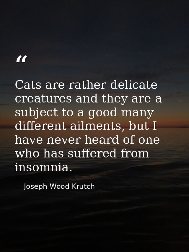 Cats are rather delicate creatures and they are a subject to a good many different ailments, but I have never heard of o — Joseph Wood Krutch