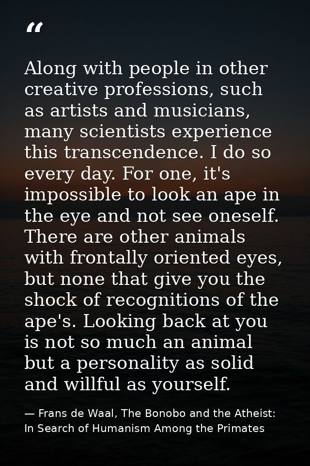 Along with people in other creative professions, such as artists and musicians, many scientists experience this transcen — Frans de Waal, The Bonobo and the Atheist: In Search of Humanism Among the Primates
