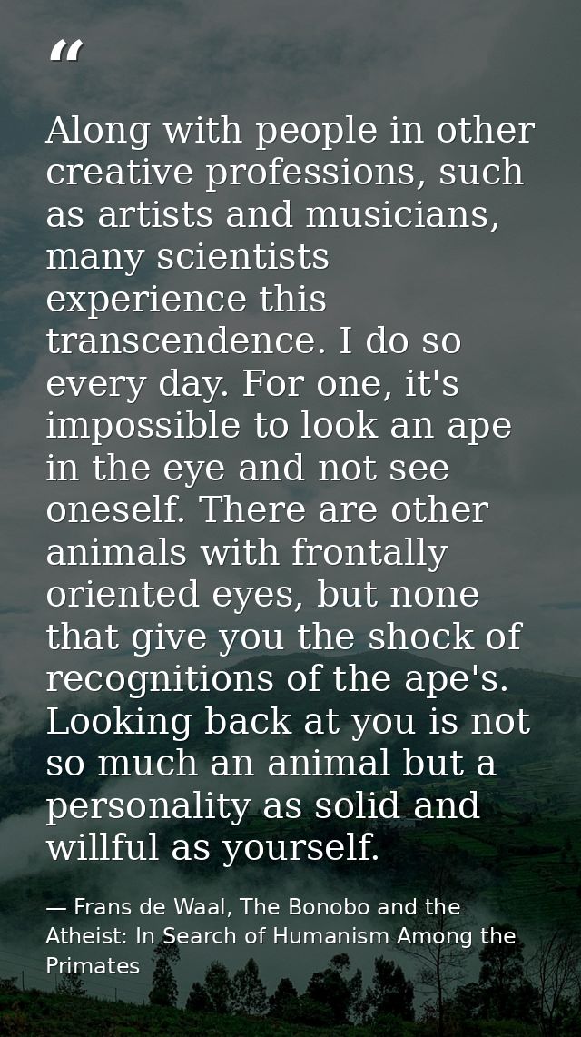 Along with people in other creative professions, such as artists and musicians, many scientists experience this transcen — Frans de Waal, The Bonobo and the Atheist: In Search of Humanism Among the Primates
