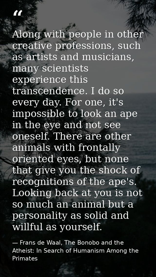 Along with people in other creative professions, such as artists and musicians, many scientists experience this transcen — Frans de Waal, The Bonobo and the Atheist: In Search of Humanism Among the Primates