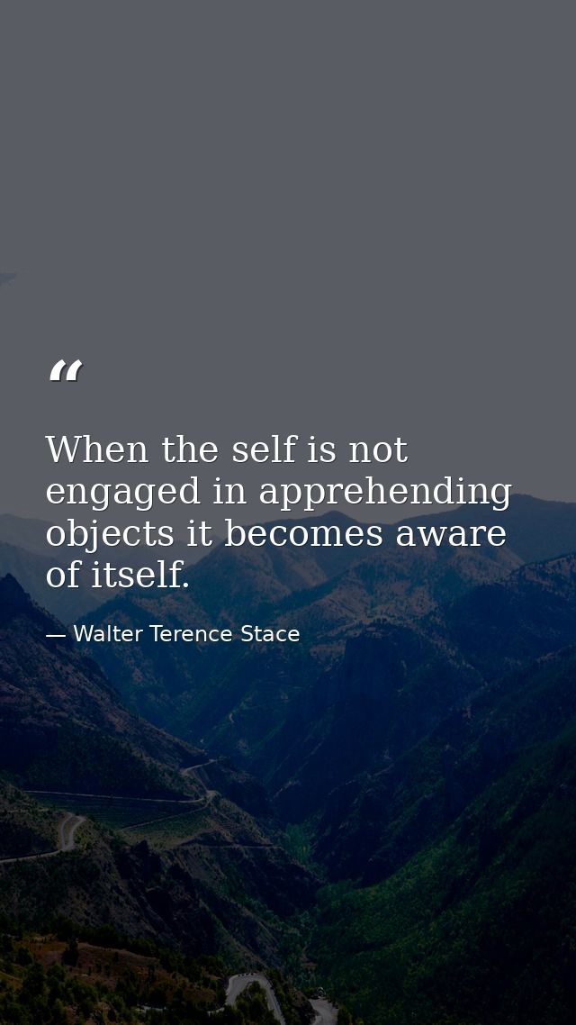When the self is not engaged in apprehending objects it becomes aware of itself. — Walter Terence Stace