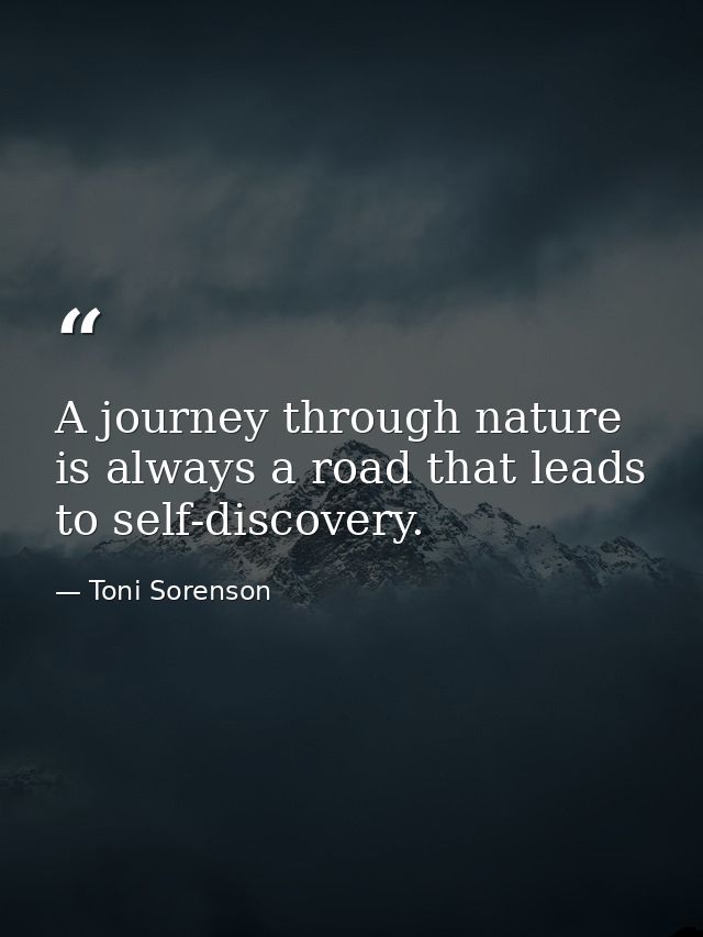 A journey through nature is always a road that leads to self-discovery. — Toni Sorenson