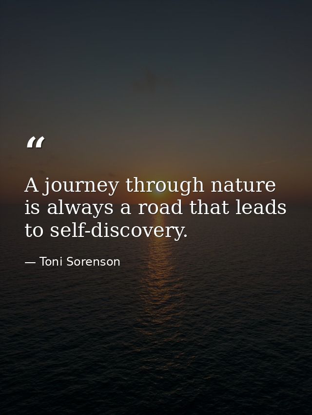 A journey through nature is always a road that leads to self-discovery. — Toni Sorenson