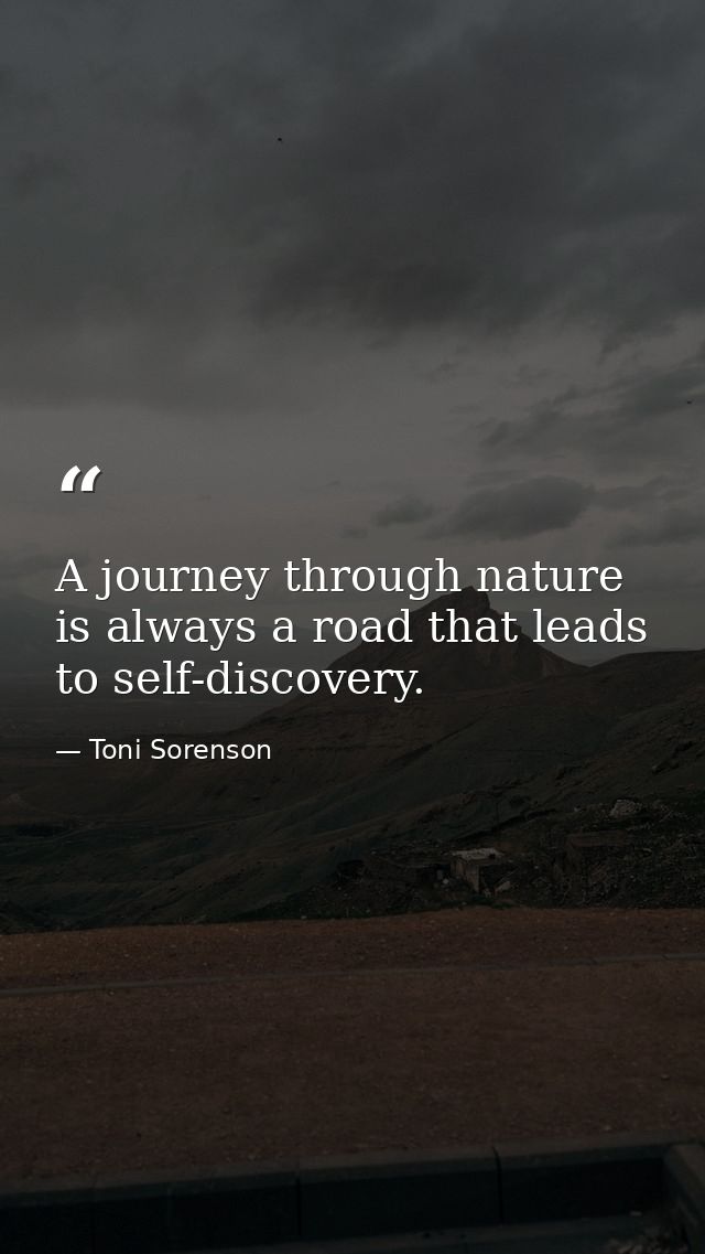 A journey through nature is always a road that leads to self-discovery. — Toni Sorenson