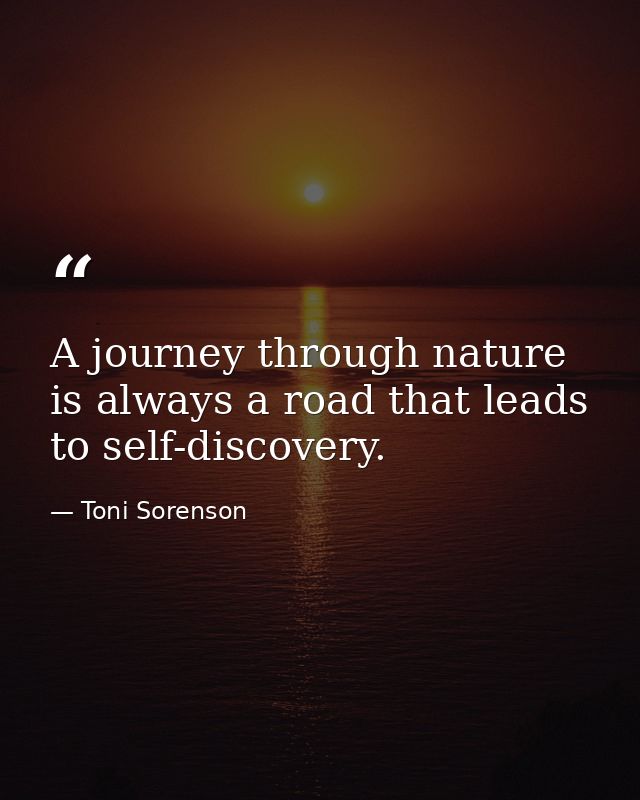 A journey through nature is always a road that leads to self-discovery. — Toni Sorenson
