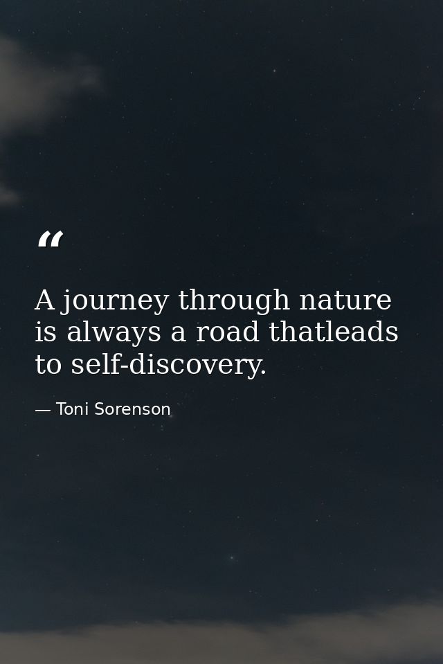 A journey through nature is always a road thatleads to self-discovery. — Toni Sorenson