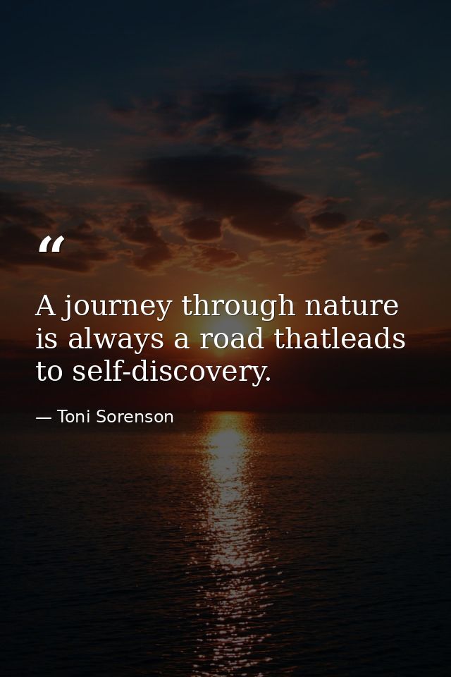 A journey through nature is always a road thatleads to self-discovery. — Toni Sorenson