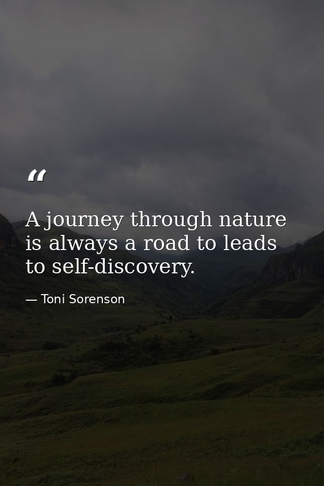 A journey through nature is always a road to leads to self-discovery. — Toni Sorenson