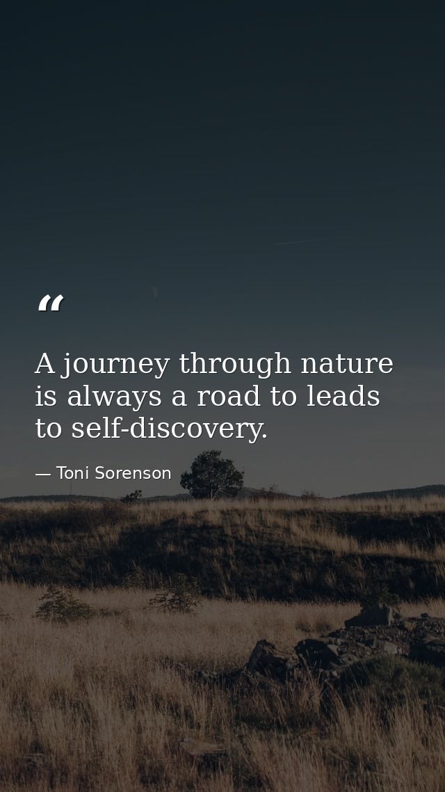 A journey through nature is always a road to leads to self-discovery. — Toni Sorenson