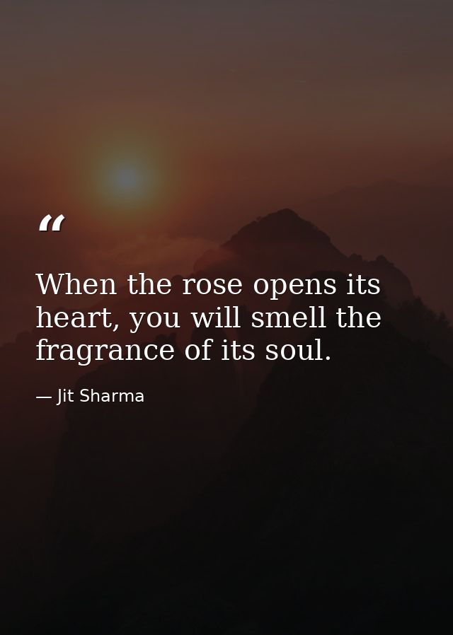 When the rose opens its heart, you will smell the fragrance of its soul. — Jit Sharma