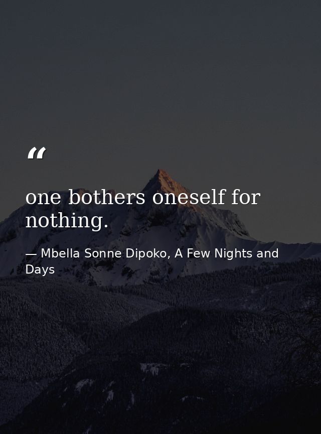 one bothers oneself for nothing. — Mbella Sonne Dipoko, A Few Nights and Days