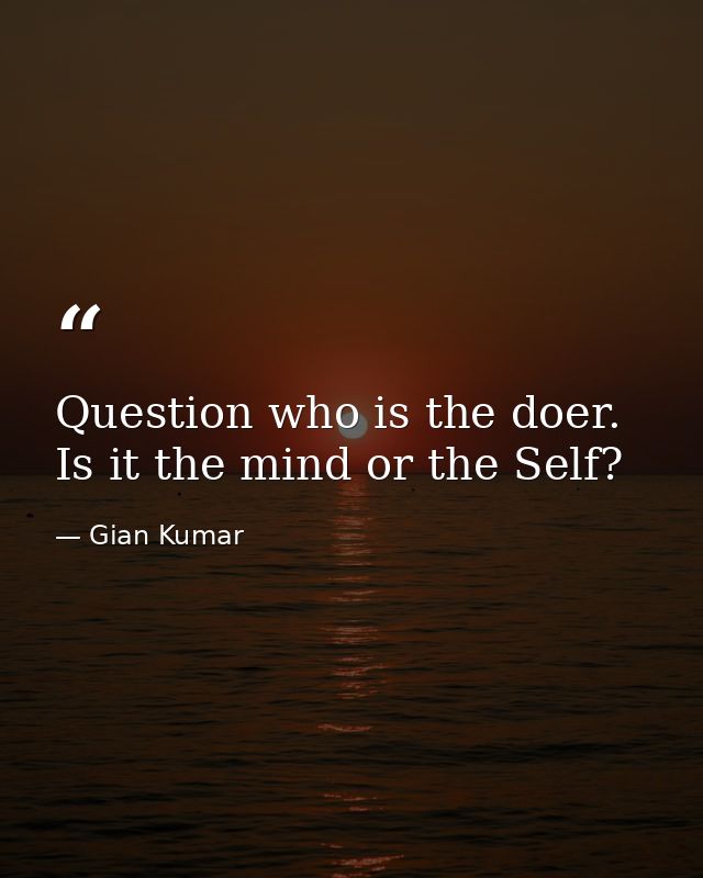 Question who is the doer. Is it the mind or the Self? — Gian Kumar
