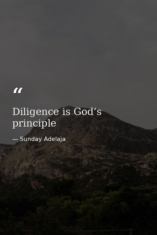 Diligence is God’s principle — Sunday Adelaja