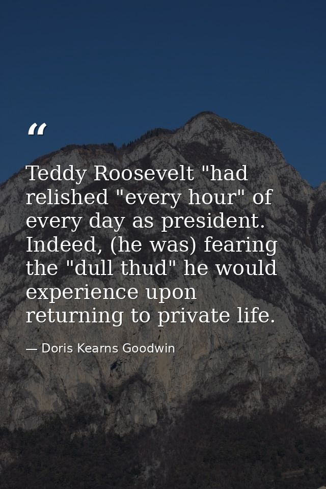 Teddy Roosevelt "had relished "every hour" of every day as president. Indeed, (he was) fearing the "dull thud" he would  — Doris Kearns Goodwin
