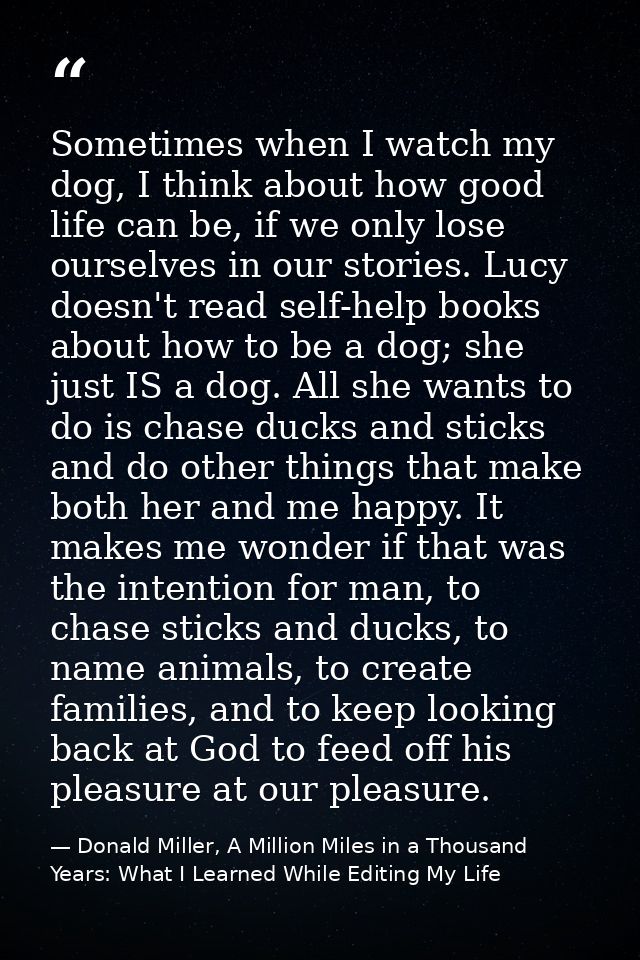 Sometimes when I watch my dog, I think about how good life can be, if we only lose ourselves in our stories. Lucy doesn' — Donald Miller, A Million Miles in a Thousand Years: What I Learned While Editing My Life