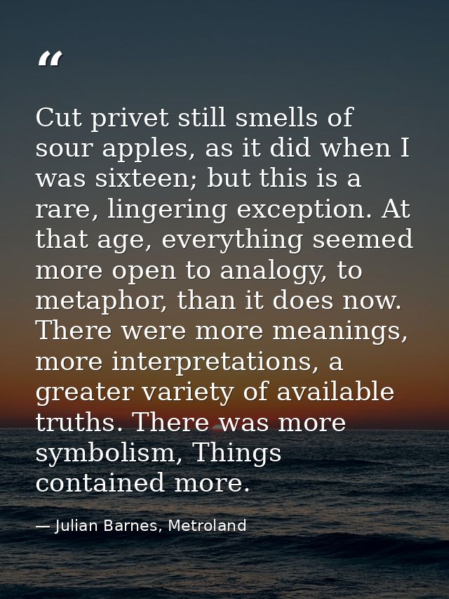 Cut privet still smells of sour apples, as it did when I was sixteen; but this is a rare, lingering exception. At that a — Julian Barnes, Metroland