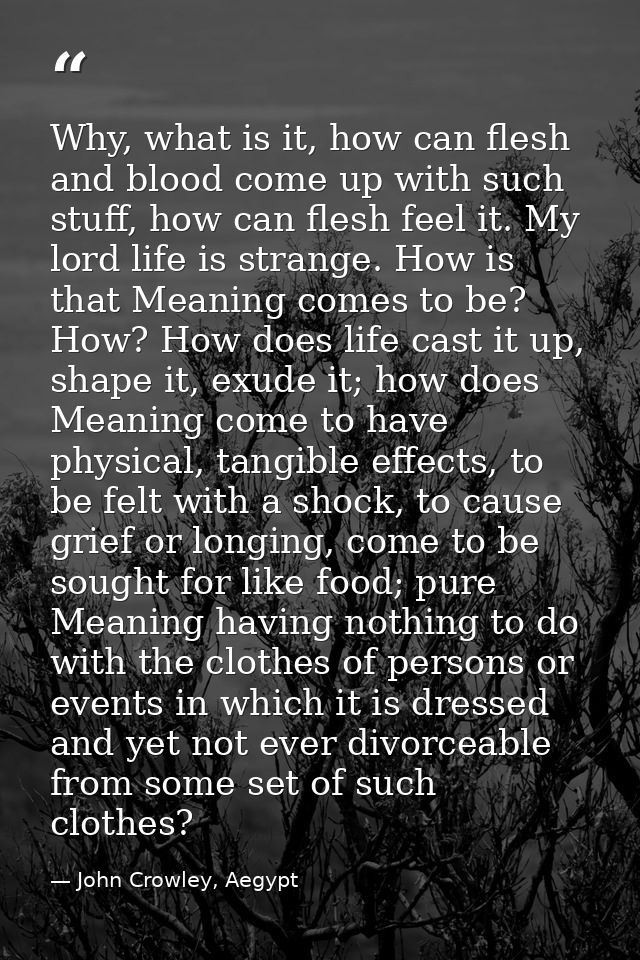 Why, what is it, how can flesh and blood come up with such stuff, how can flesh feel it. My lord life is strange. How is — John Crowley, Aegypt