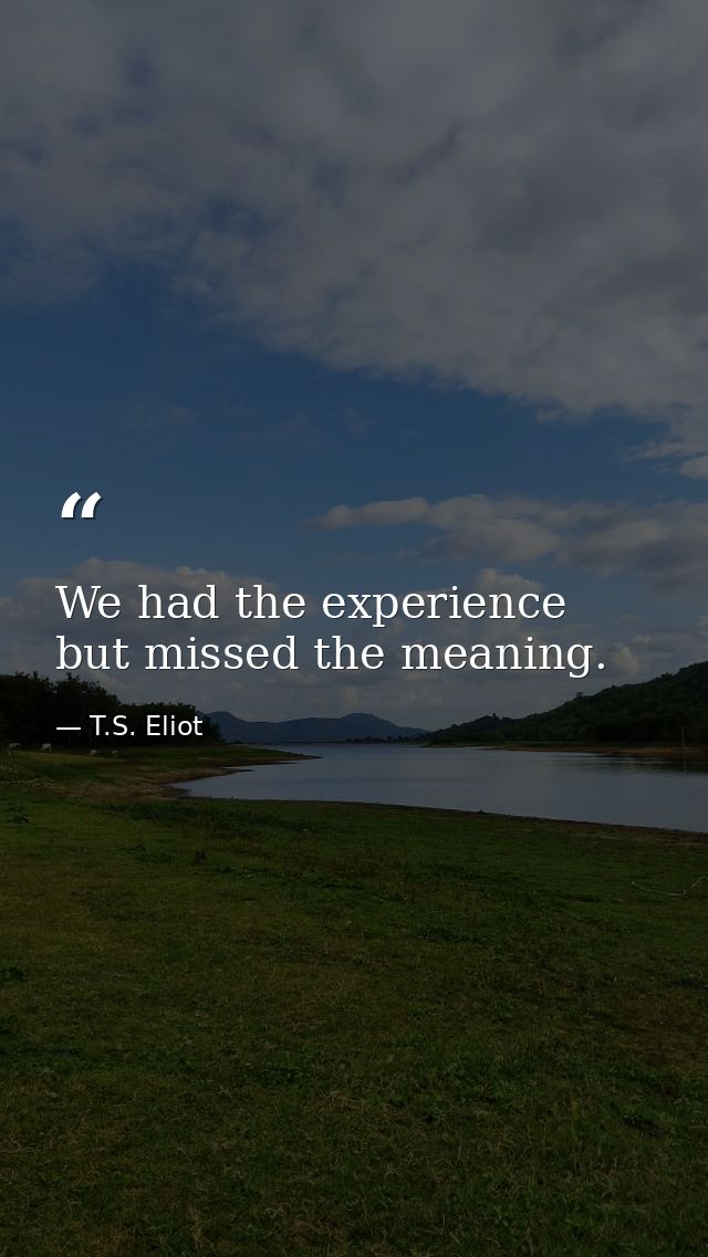 We had the experience but missed the meaning. — T.S. Eliot