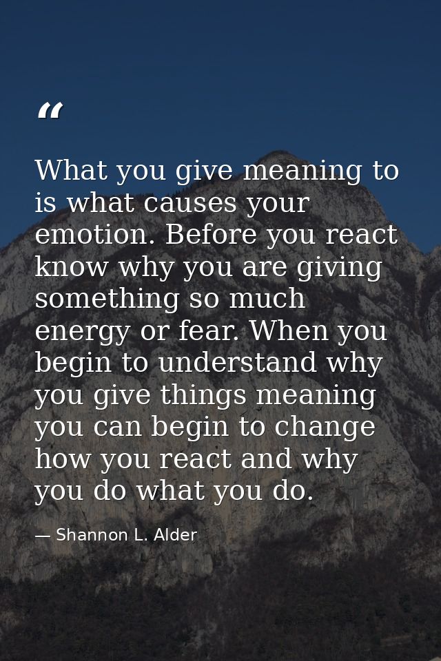 What you give meaning to is what causes your emotion. Before you react know why you are giving something so much energy  — Shannon L. Alder