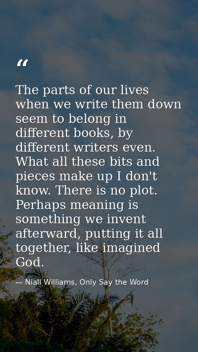 The parts of our lives when we write them down seem to belong in different books, by different writers even. What all th — Niall Williams, Only Say the Word