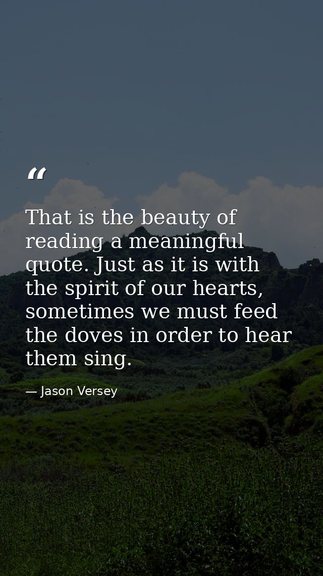 That is the beauty of reading a meaningful quote. Just as it is with the spirit of our hearts, sometimes we must feed th — Jason Versey