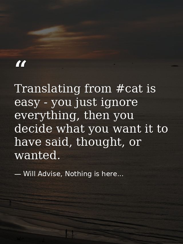 Translating from #cat is easy - you just ignore everything, then you decide what you want it to have said, thought, or w — Will Advise, Nothing is here...