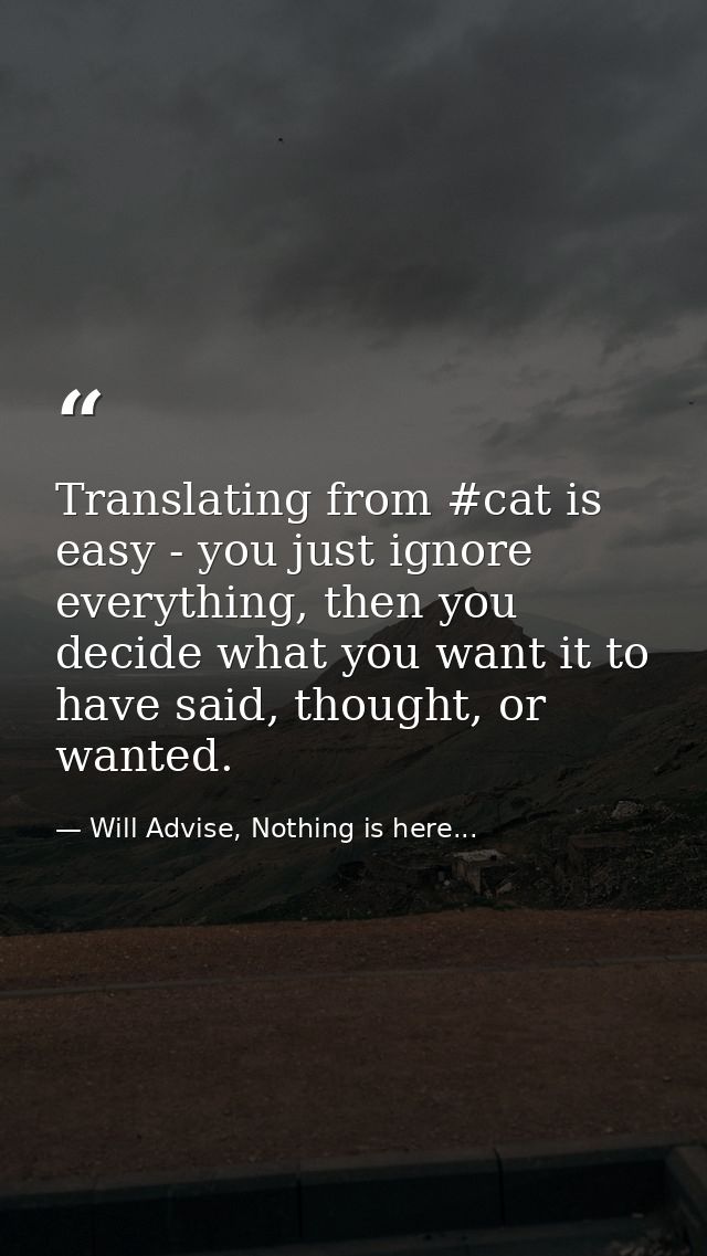 Translating from #cat is easy - you just ignore everything, then you decide what you want it to have said, thought, or w — Will Advise, Nothing is here...