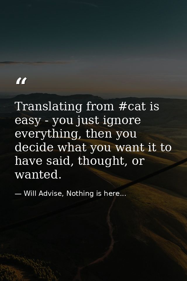 Translating from #cat is easy - you just ignore everything, then you decide what you want it to have said, thought, or w — Will Advise, Nothing is here...