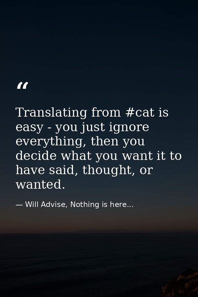 Translating from #cat is easy - you just ignore everything, then you decide what you want it to have said, thought, or w — Will Advise, Nothing is here...