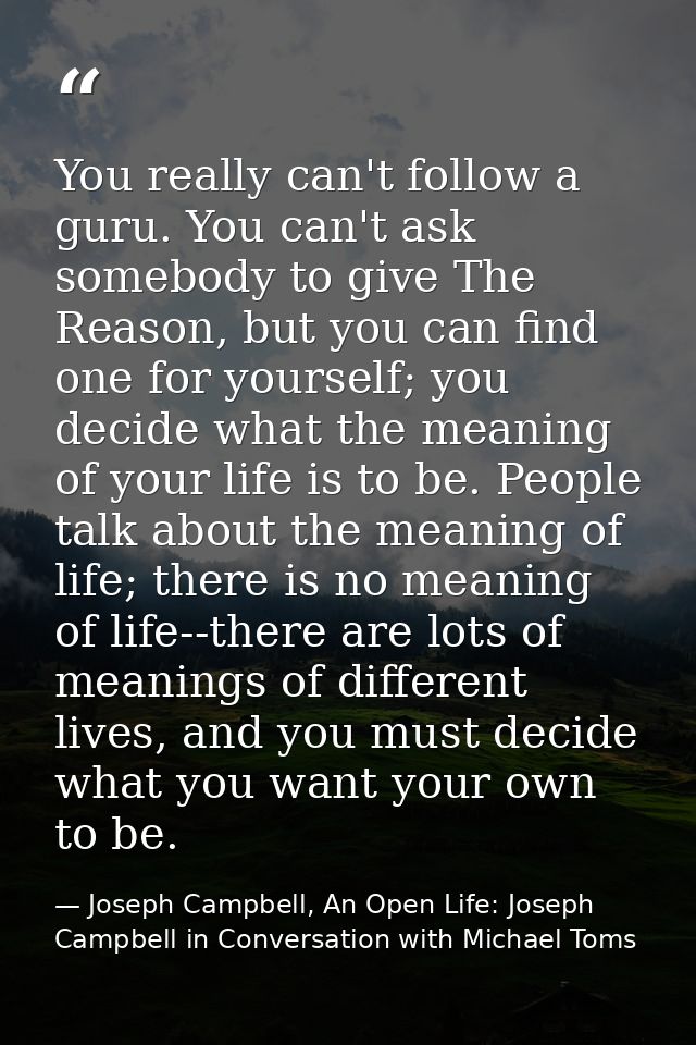 You really can't follow a guru. You can't ask somebody to give The Reason, but you can find one for yourself; you decide — Joseph Campbell, An Open Life: Joseph Campbell in Conversation with Michael Toms