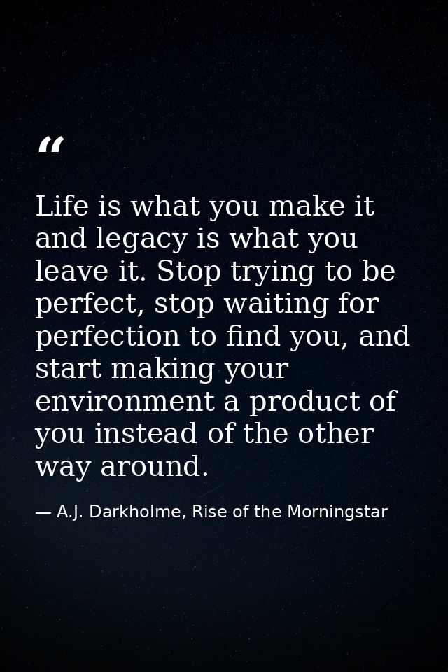 Life is what you make it and legacy is what you leave it. Stop trying to be perfect, stop waiting for perfection to find — A.J. Darkholme, Rise of the Morningstar