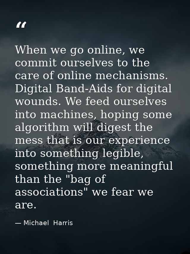 When we go online, we commit ourselves to the care of online mechanisms. Digital Band-Aids for digital wounds. We feed o — Michael  Harris