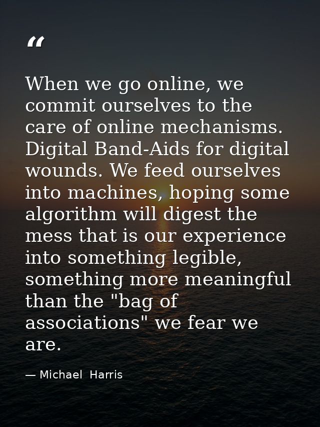 When we go online, we commit ourselves to the care of online mechanisms. Digital Band-Aids for digital wounds. We feed o — Michael  Harris