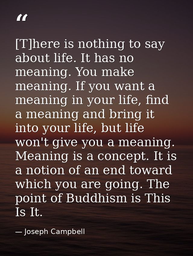 [T]here is nothing to say about life. It has no meaning. You make meaning. If you want a meaning in your life, find a me — Joseph Campbell