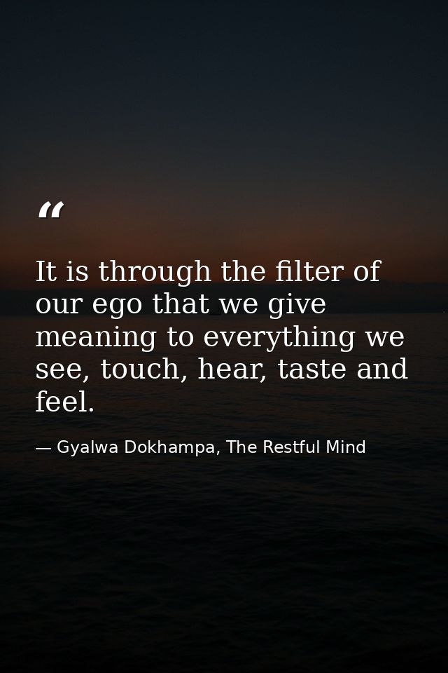 It is through the filter of our ego that we give meaning to everything we see, touch, hear, taste and feel. — Gyalwa Dokhampa, The Restful Mind
