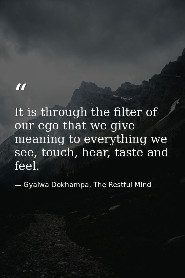 It is through the filter of our ego that we give meaning to everything we see, touch, hear, taste and feel. — Gyalwa Dokhampa, The Restful Mind