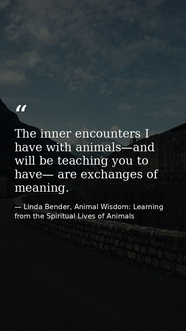 The inner encounters I have with animals—and will be teaching you to have— are exchanges of meaning. — Linda Bender, Animal Wisdom: Learning from the Spiritual Lives of Animals