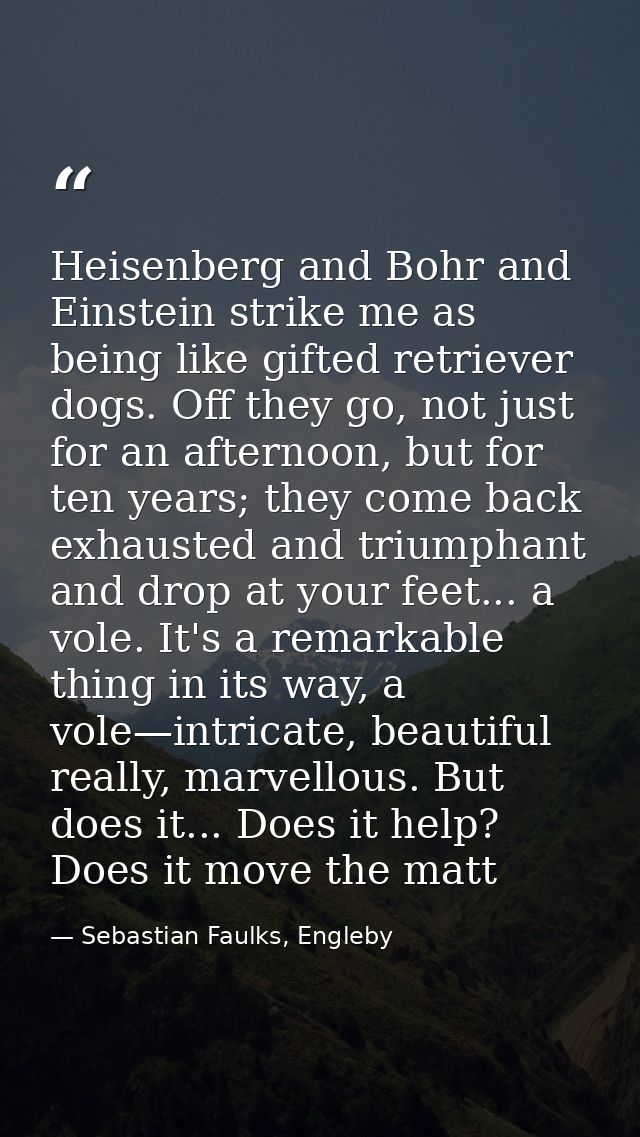 Heisenberg and Bohr and Einstein strike me as being like gifted retriever dogs. Off they go, not just for an afternoon,  — Sebastian Faulks, Engleby