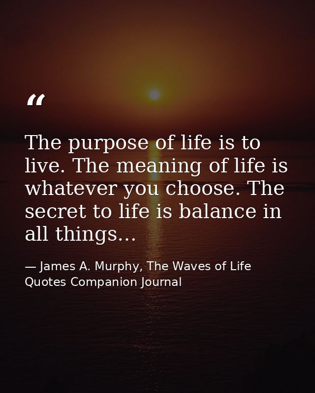 The purpose of life is to live. The meaning of life is whatever you choose. The secret to life is balance in all things… — James A. Murphy, The Waves of Life Quotes Companion Journal
